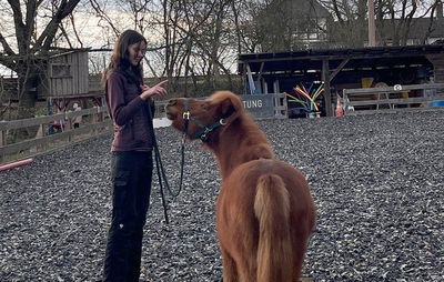 „Das Leben ist kein Ponyhof – oder etwa doch?!?  Pferdetraining und Führtraining mit Kindern